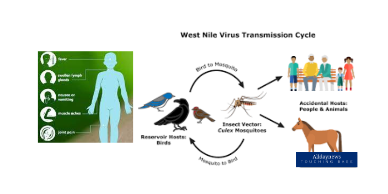 Unmasking West Nile Virus